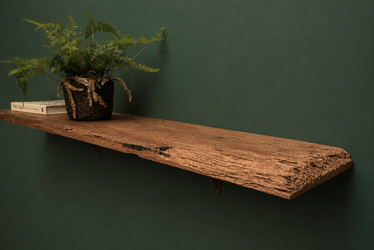 A rustic live-edge wooden floating shelf mounted on a dark green wall, styled with a potted fern and a stack of books.
